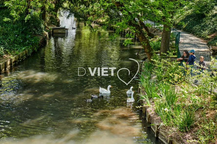 Photo TOULOUSE by VIET - Jardin des plantes