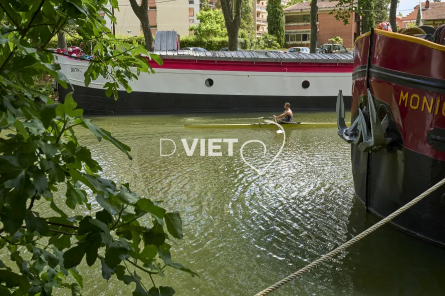 Photo TOULOUSE by VIET - Aviron sur le canal du midi