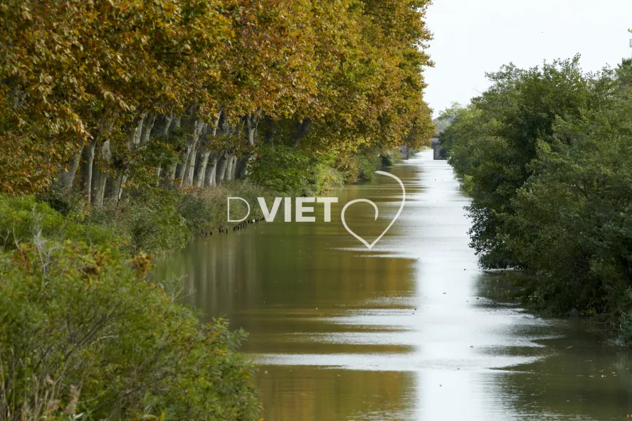 Photo TOULOUSE by VIET - OUVRAGE DU LIBRON