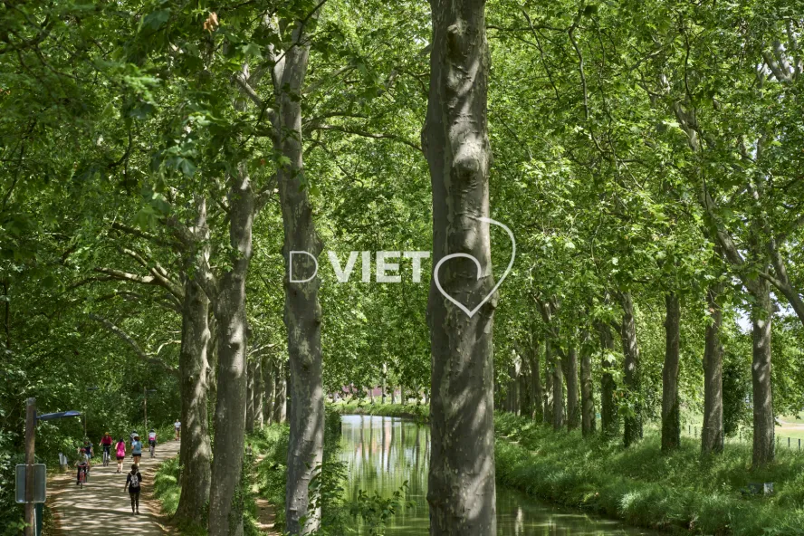Photo TOULOUSE by VIET - activités sur le canal