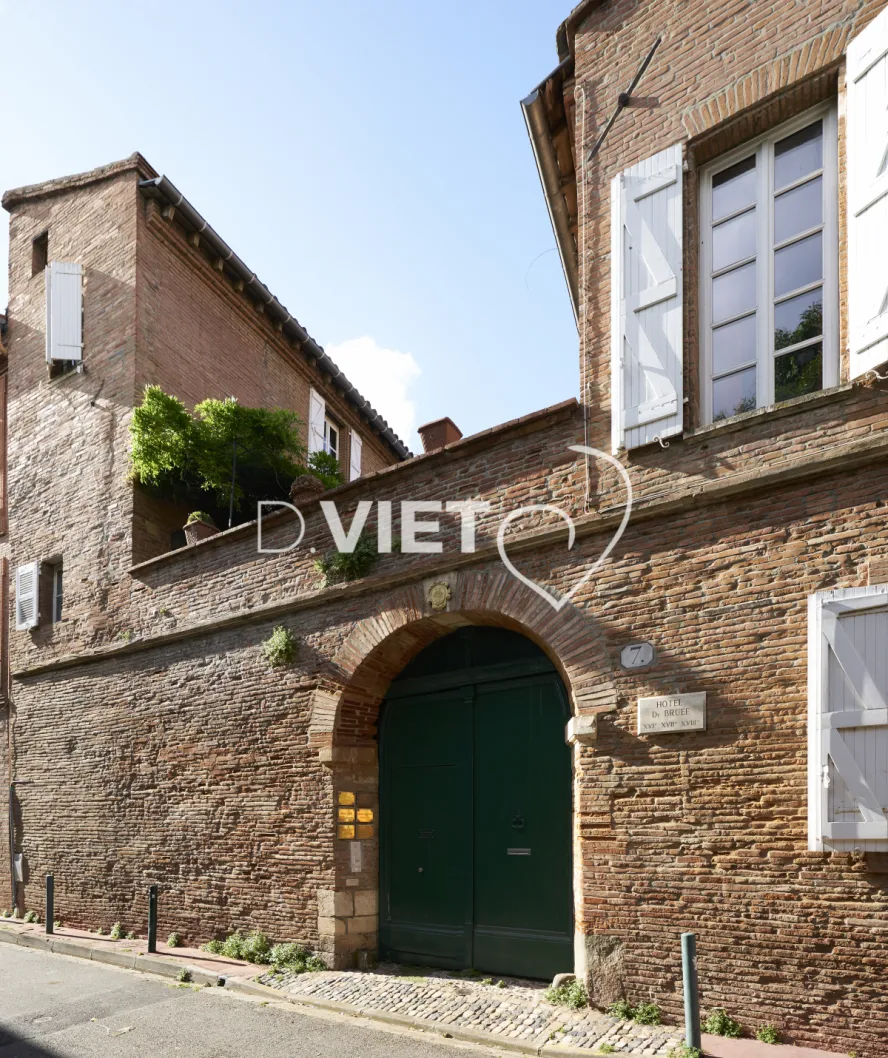 Photo TOULOUSE by VIET - VIET_013669