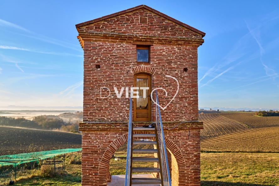 Photo TOULOUSE by VIET - PIGEONNIER
