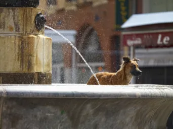 Photo TOULOUSE by VIET - La fontaine de la Trinit?