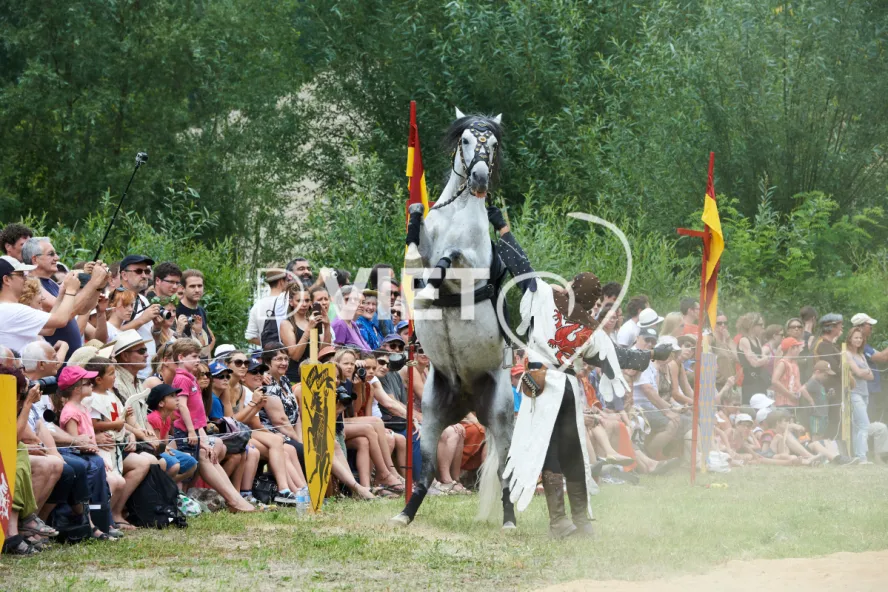 Photo TOULOUSE by VIET - Chevalerie et tournois festifs