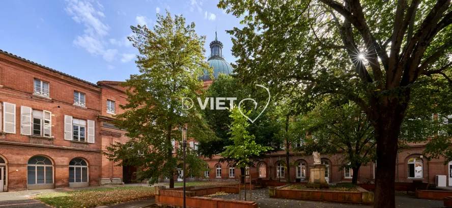 Photo TOULOUSE by VIET - LA GRAVE