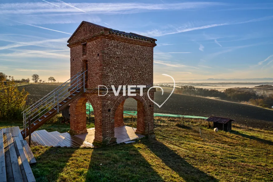 Photo TOULOUSE by VIET - PIGEONNIER