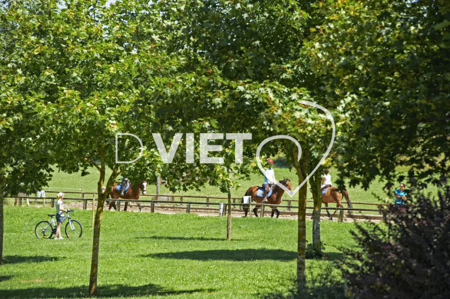 Photo TOULOUSE by VIET - Centre equestre de Combelles