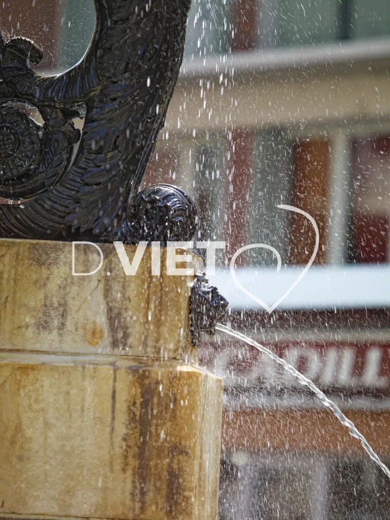 Photo TOULOUSE by VIET - La fontaine de la Trinit?