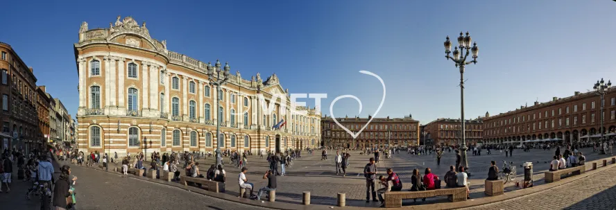 Photo TOULOUSE by VIET - Capitole