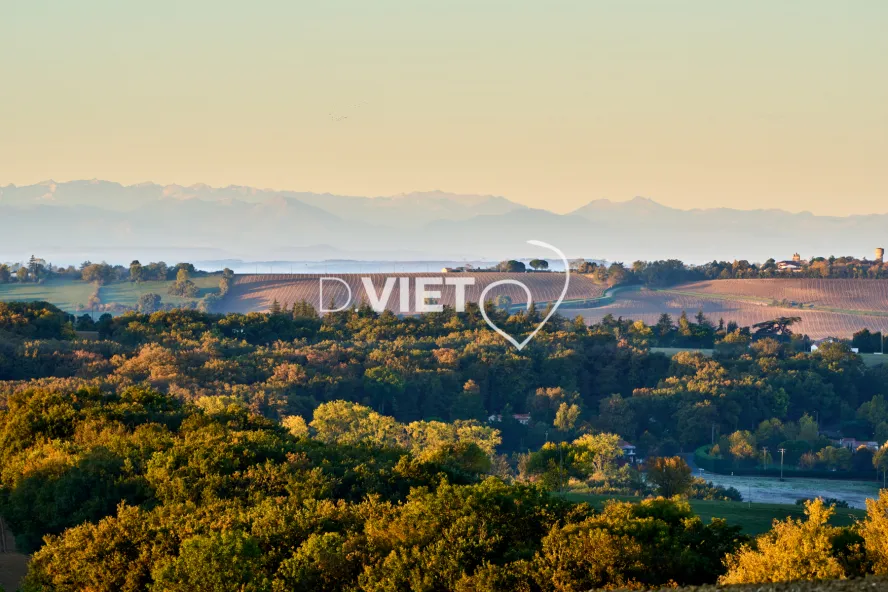 Photo TOULOUSE by VIET - MERVILLA