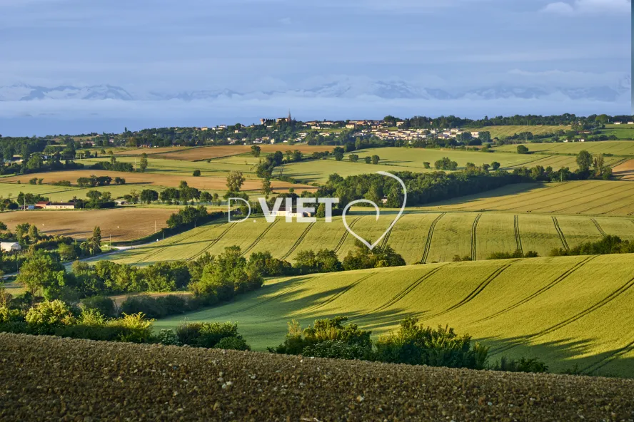 Photo TOULOUSE by VIET - Paysages Toscane