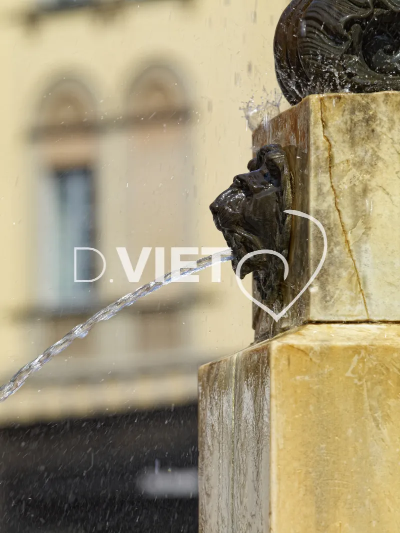 Photo TOULOUSE by VIET - La fontaine de la Trinit?