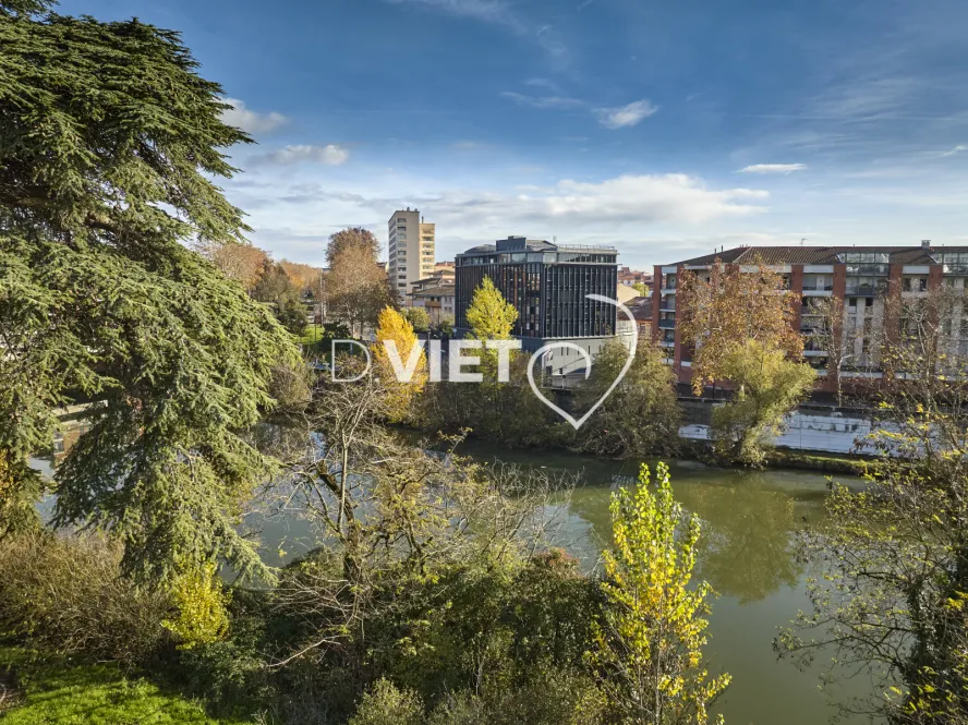 Photo TOULOUSE by VIET - Garonne et ramier