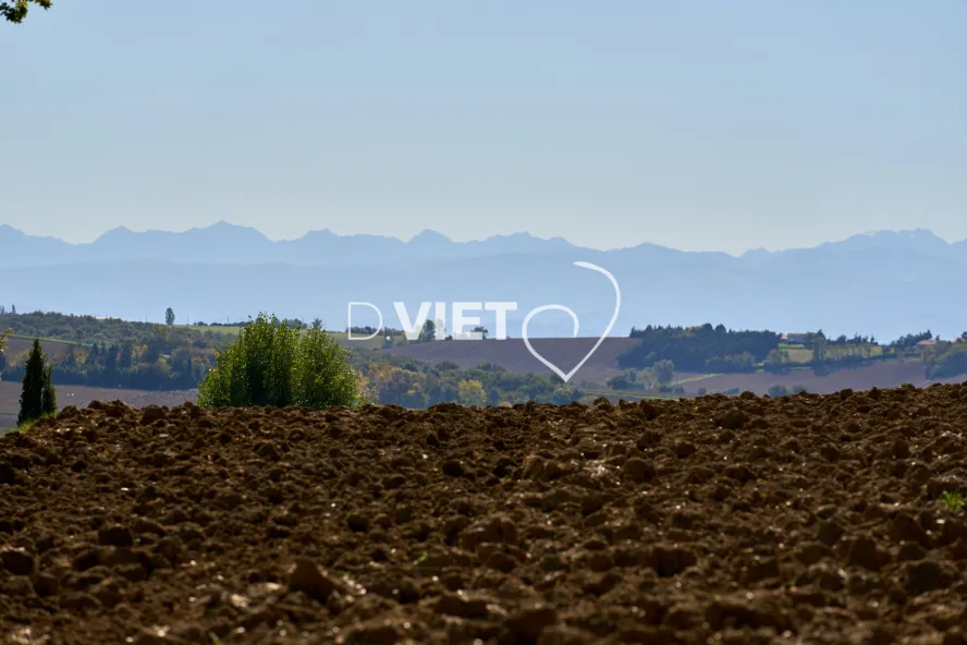 Photo TOULOUSE by VIET - Ayguesvives