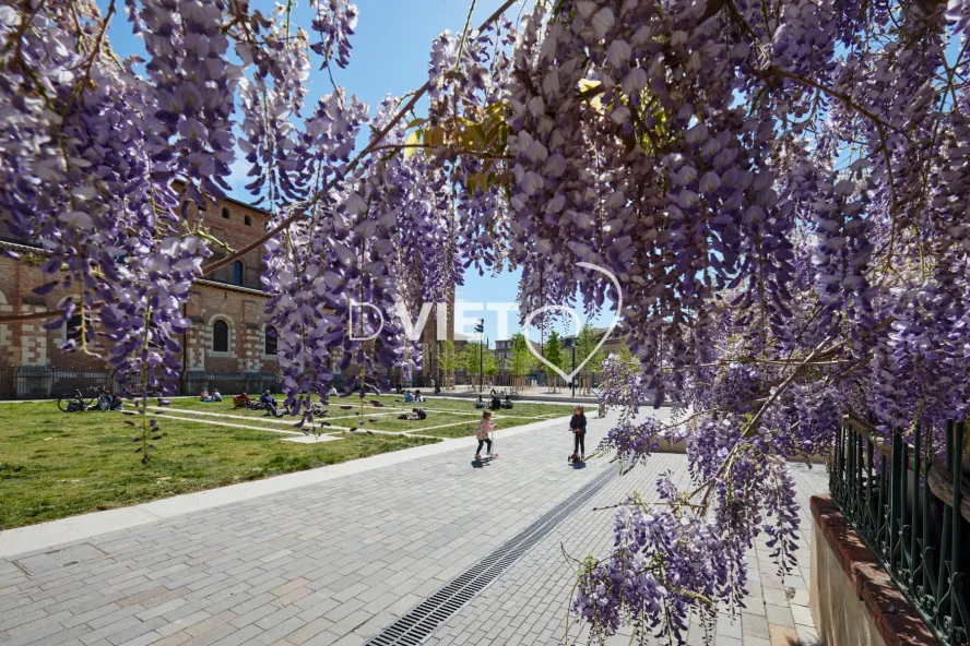 Photo TOULOUSE by VIET - Place de Saint-Sernin et ses glycines